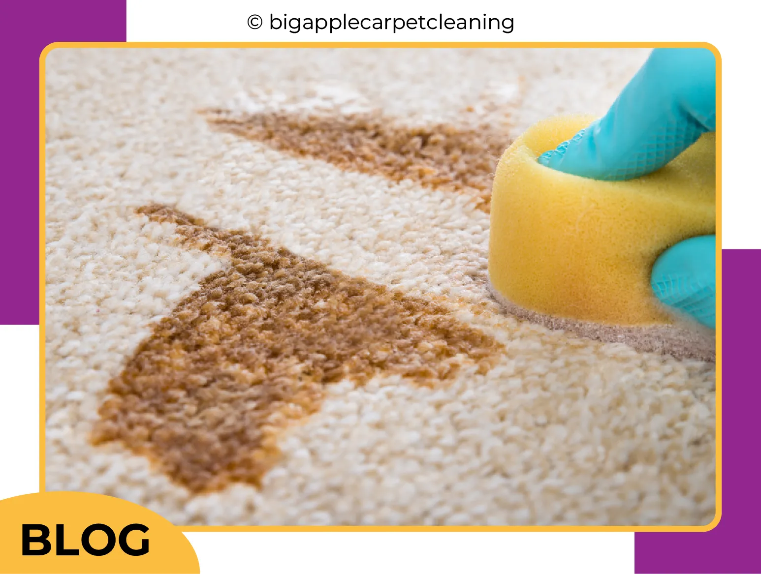 carpet cleaning in new york, carpet cleaning new york, carpet cleaners in new york, carpet cleaners in new york, commercial carpet cleaning, commercial carpet cleaning in new york, new york rug cleaners, rug cleaning services in new york, same day carpet cleaning, same day rug cleaning in new york