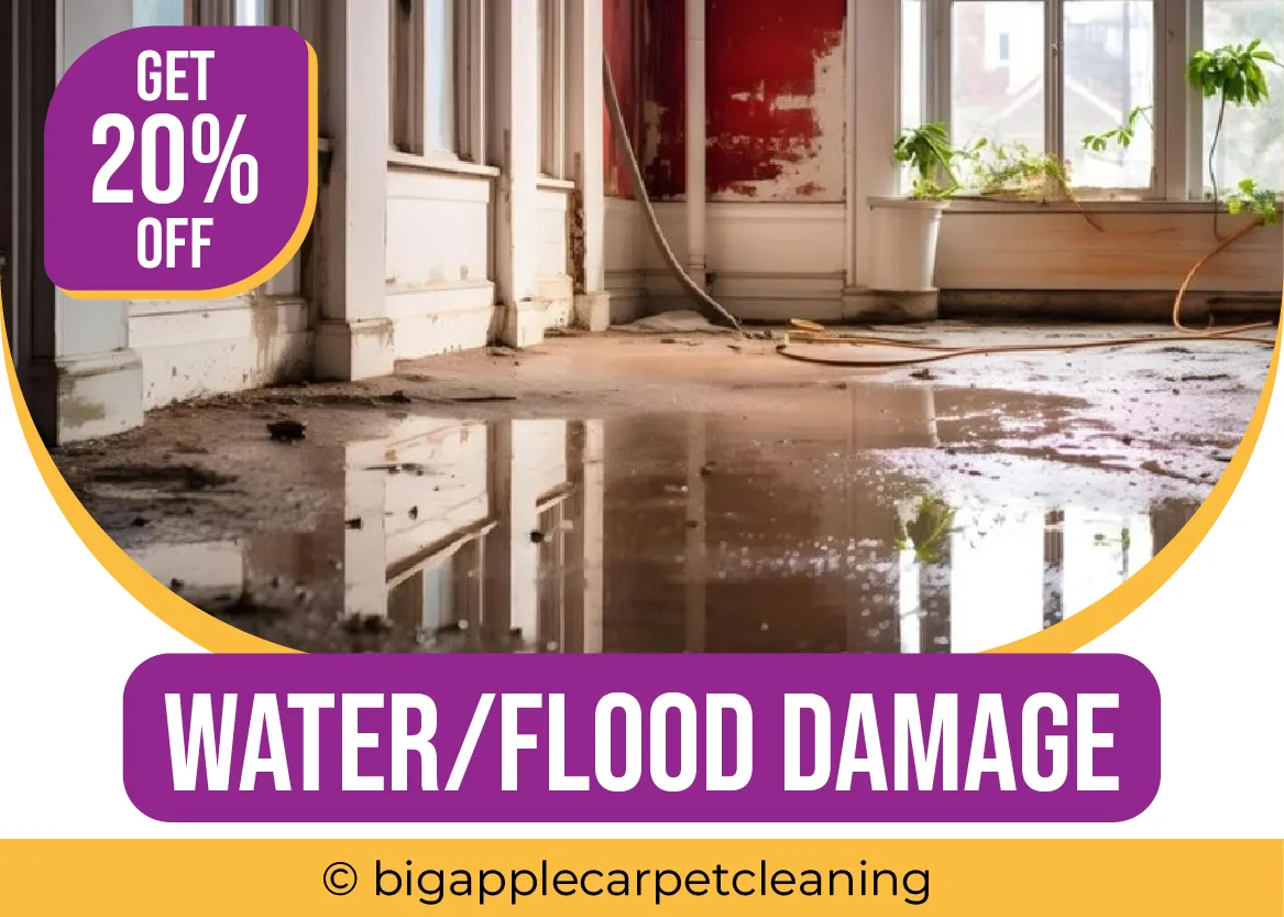 carpet cleaning in new york, carpet cleaning new york, carpet cleaners in new york, carpet cleaners in new york, commercial carpet cleaning, commercial carpet cleaning in new york, new york rug cleaners, rug cleaning services in new york, same day carpet cleaning, same day rug cleaning in new york