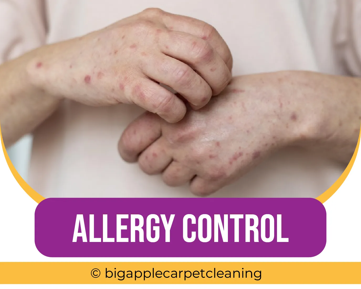 carpet cleaning in new york, carpet cleaning new york, carpet cleaners in new york, carpet cleaners in new york, commercial carpet cleaning, commercial carpet cleaning in new york, new york rug cleaners, rug cleaning services in new york, same day carpet cleaning, same day rug cleaning in new york