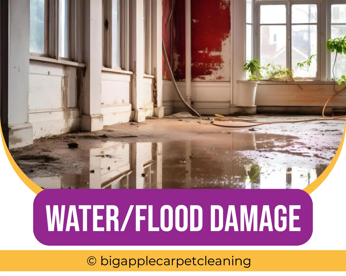 carpet cleaning in new york, carpet cleaning new york, carpet cleaners in new york, carpet cleaners in new york, commercial carpet cleaning, commercial carpet cleaning in new york, new york rug cleaners, rug cleaning services in new york, same day carpet cleaning, same day rug cleaning in new york